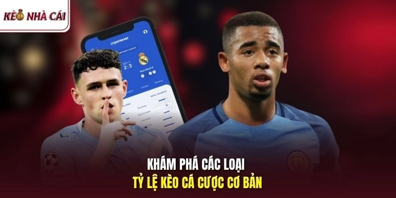 Các loại tỷ lệ kèo cá cược phổ biến tại Kèo Nhà Cái