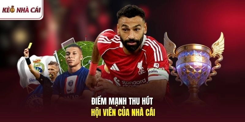 Điểm qua các bộ môn thể thao nổi bật tại Vin88 