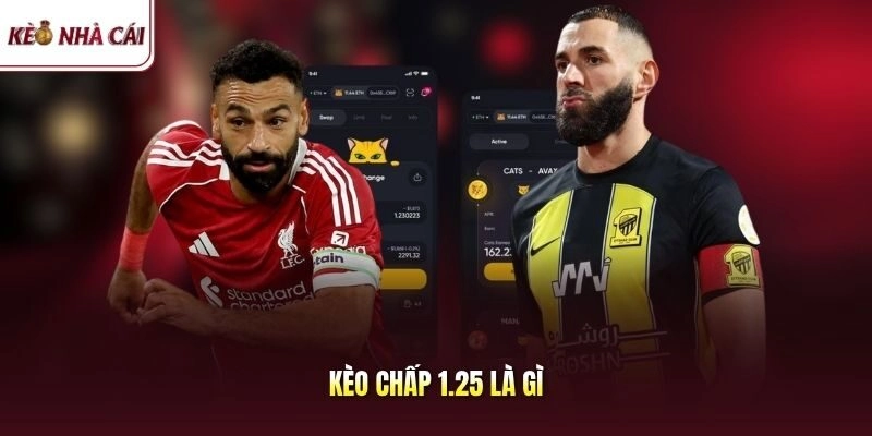 Kèo Chấp 1.25 Là Gì? Dồn Vốn Hợp Lý Lấy Ngay Số Tiền Khủng
