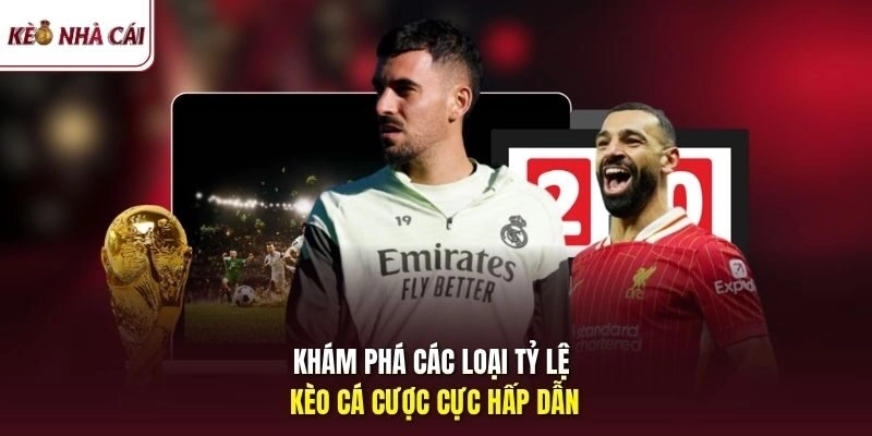 Khám phá các loại tỷ lệ kèo cá cược cơ bản