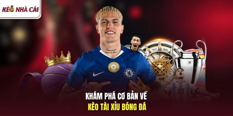 Khám phá cơ bản về kèo tài xỉu bóng đá