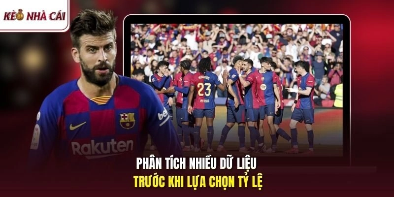 Phân tích nhiều dữ liệu trước khi lựa chọn tỷ lệ