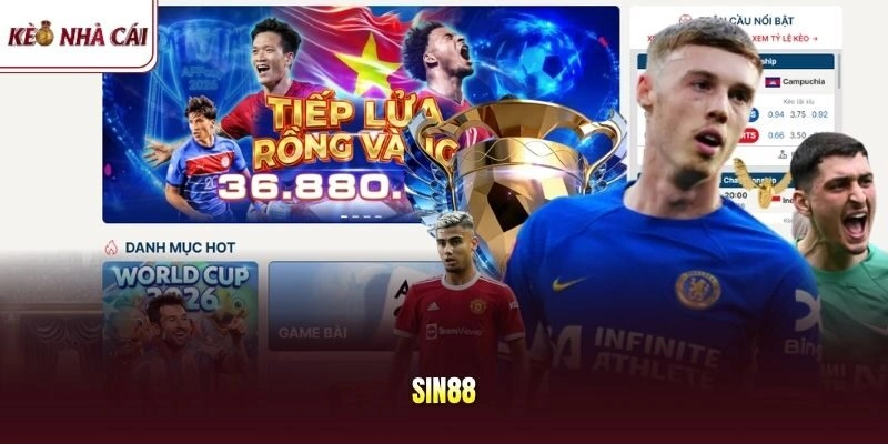 SIN88
