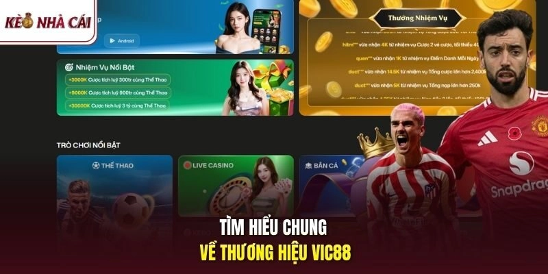 Tìm hiểu chung về thương hiệu Vic88