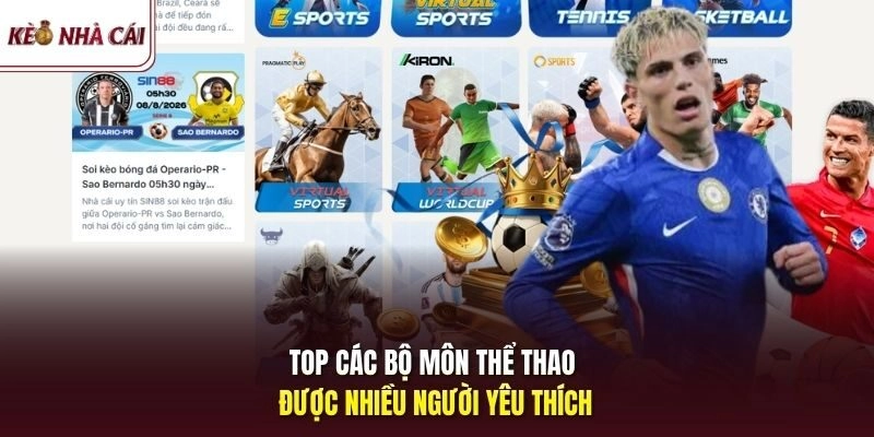 Top các bộ môn thể thao được nhiều người yêu thích