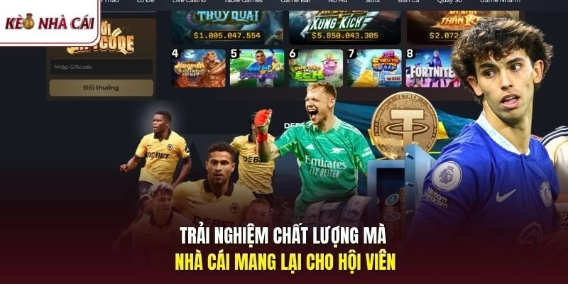 Trải nghiệm chất lượng mà nhà cái mang lại cho hội viên